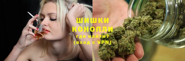 Альфа ПВП Бородино