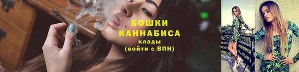 Альфа ПВП Бородино